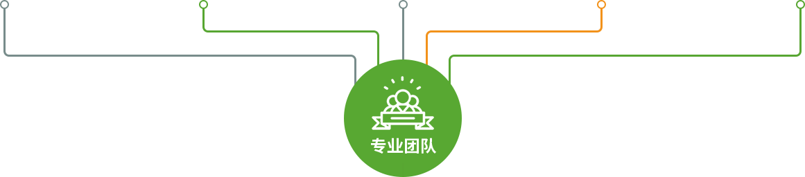 專業(yè)團(tuán)隊